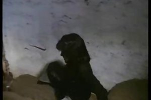 Dick in young ass