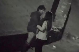 Sex with pilot